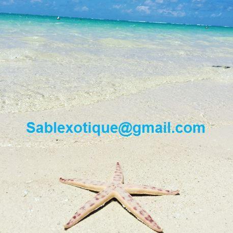 Sablexotique Apartment Pointe d'Esny Exterior foto
